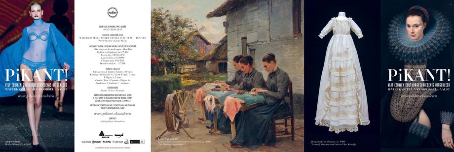 Pikant ! Vijf eeuwen cultuurgeschiedenis uitgekleed.